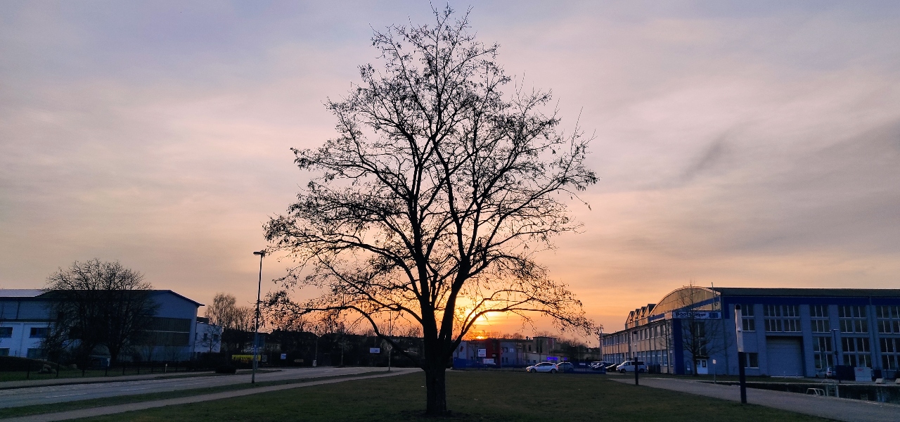 Zu warm DWD Bilanz für Mecklenburg Vorpommerns Winter