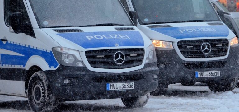 Frische Spur im Schnee verrät Mopeddieb in Rehna