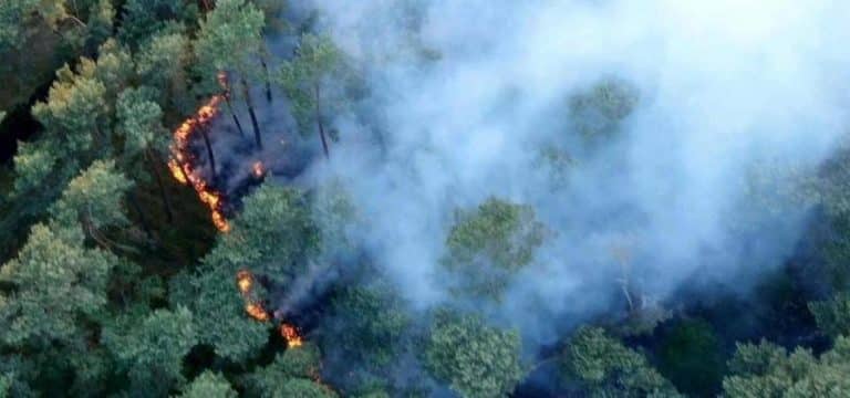 Waldbrand bei Wöbbelin: A14 bis Montagmorgen gesperrt