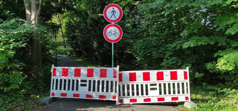 Wismar: Verkehrssicherungsmaßnahmen im Dreweswäldchen