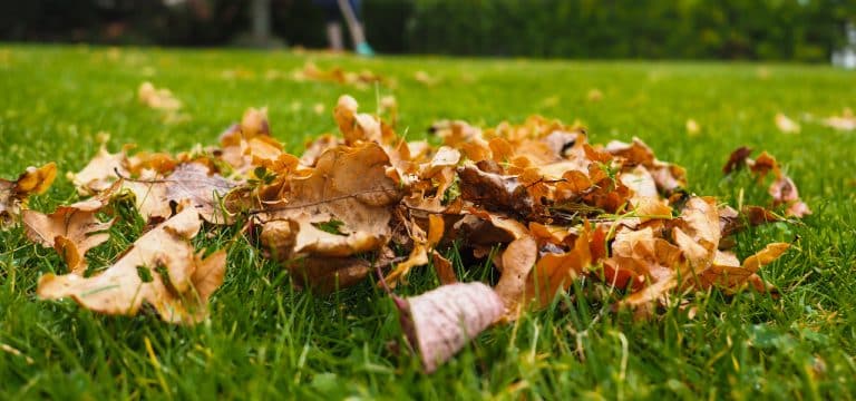 Wetter zum Wochenstart: Kühl und bewölkt im Nordosten