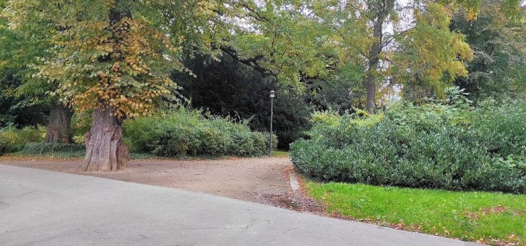 Wismar: Unbekannte beschädigen Parkbänke im Lindengarten