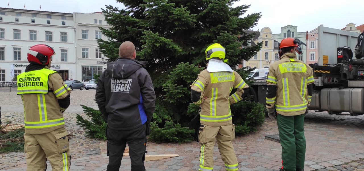 Wismar Es ist wieder soweit Am Freitag kommt der Weihnachtsbaum