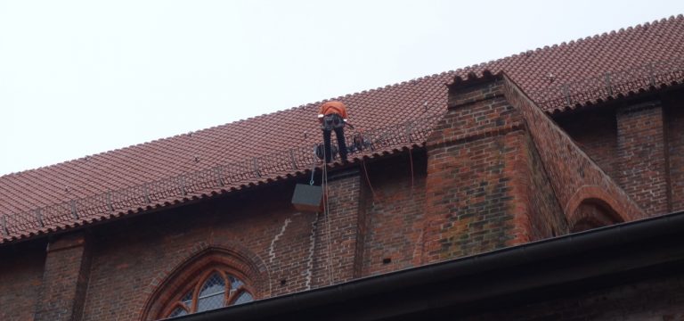 Wismar: Turmfalke an der Kirche St. Nikolai bekommt neues Zuhause