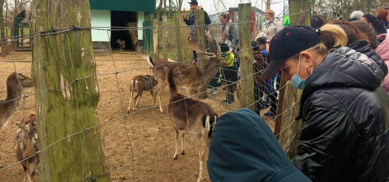 Wismar: Tierparkbesuch mit ukrainischen Familien