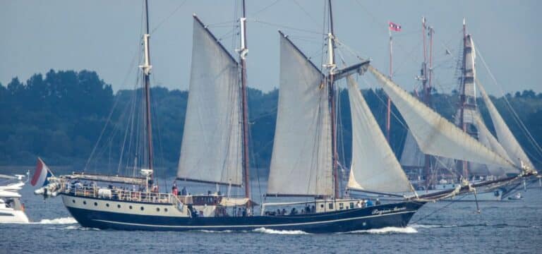 Hanse Sail bislang mit 111 Schiffen: Keine Zäune und Tests