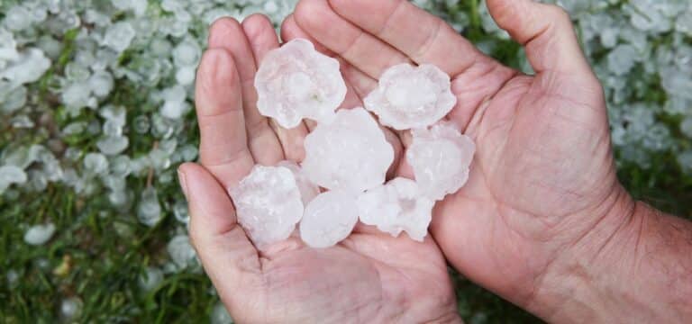 Westmecklenburg: Unwetter mit Windhose sorgt für große Schäden