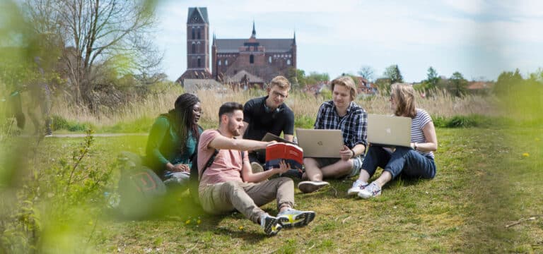 Masterstudiengang Wirtschaftsinformatik mit neuen zukunftsweisenden Profilen