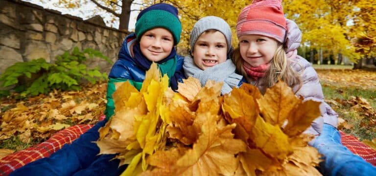 Buntes Herbstferienprogramm in der Wismarer Stadtbibliothek