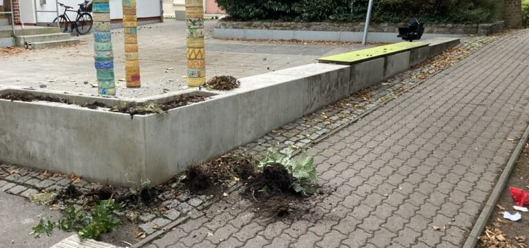 Wismar: Vandalismus am “TiL” in gleich zwei Nächten in Folge