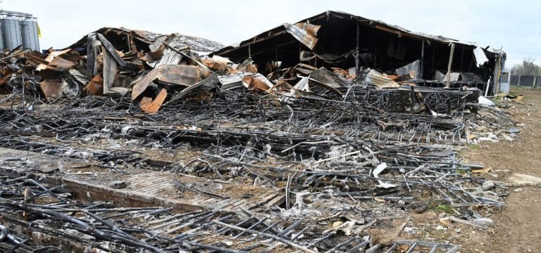 Zwei Jahre nach Großbrand: Tierschützer für Systemwechsel