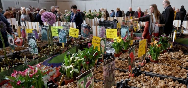 Rostock: Ostseemesse meldet sich mit 43.000 Besuchern zurück