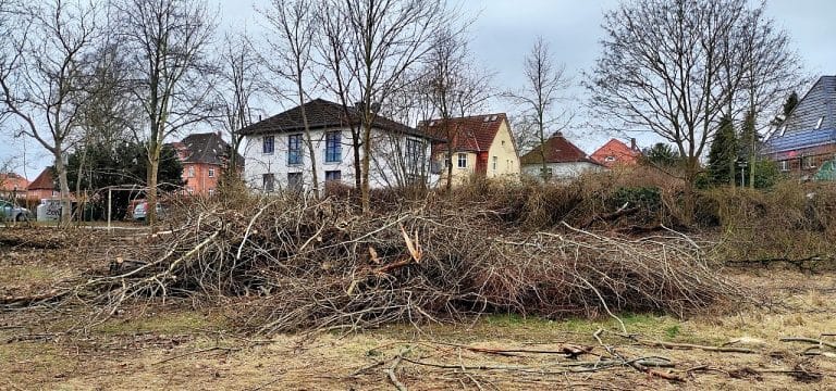 Wismar: „Bolzplatz Schützenwiese“ jetzt auch Thema in der Bürgerschaft