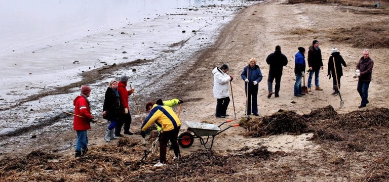 Wismar: “Subbotnik” am Wendorf Strand – am Samstag wieder im Seebad Wendorf