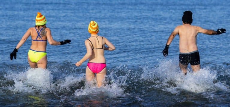 Abbaden der Rostocker Seehunde mit rund 100 Teilnehmern