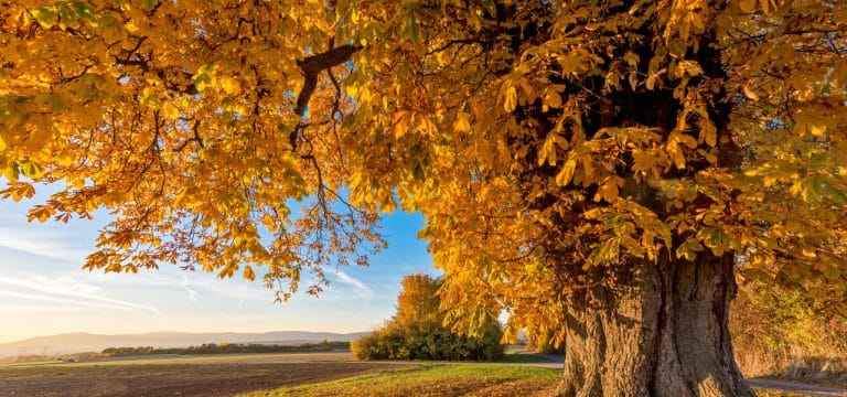 Verbraucher aufgepasst: Das ändert sich im Oktober