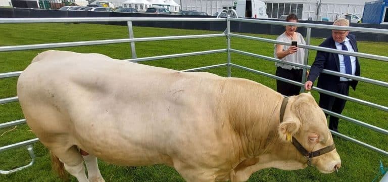 Tiere, Technik, Freizeit: Agrarmesse MeLa öffnet