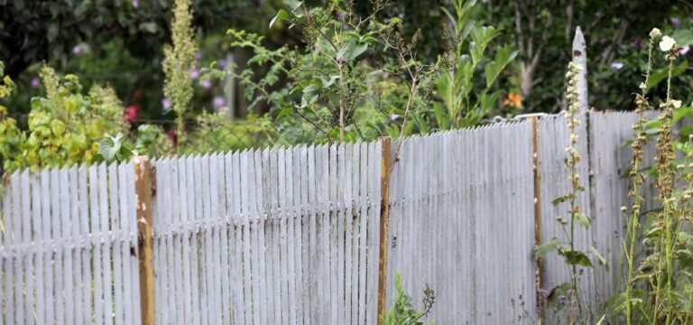 Mehr als 100 Nachbarschaftsstreit landen jährlich vor Gericht