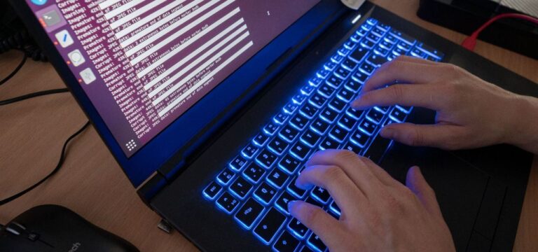 Hackerangriff auf Internetseiten des Landes abgewehrt