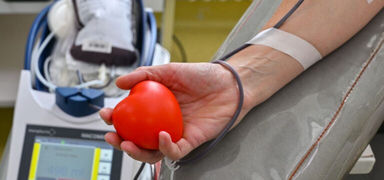 Blut-Spendedienst in MV sorgt sich um Spender-Nachwuchs