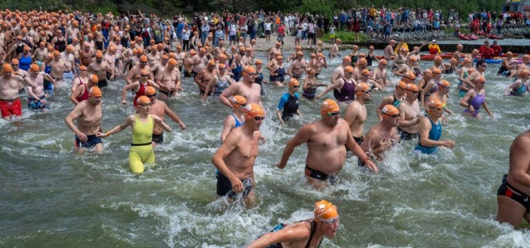 Mehr als 1.000 Teilnehmer beim 59. Sundschwimmen