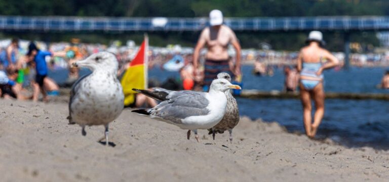 Schüler und Lehrer in MV starten in Sommerferien