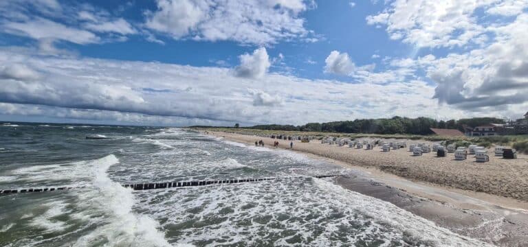 In Ostsee zugezogen: Zwei Menschen sterben in MV an Vibrionen-Infektion