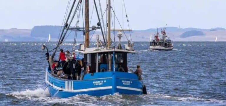 EU-Kommission will Fangmenge in der Ostsee kürzen