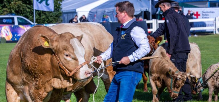 Bauern fordern verlässliche Rahmenbedingungen von Politik