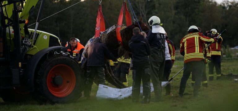 Zierow: Pferd rutscht in Graben – Mit viel Hilfe kann das Tier gerettet werden.