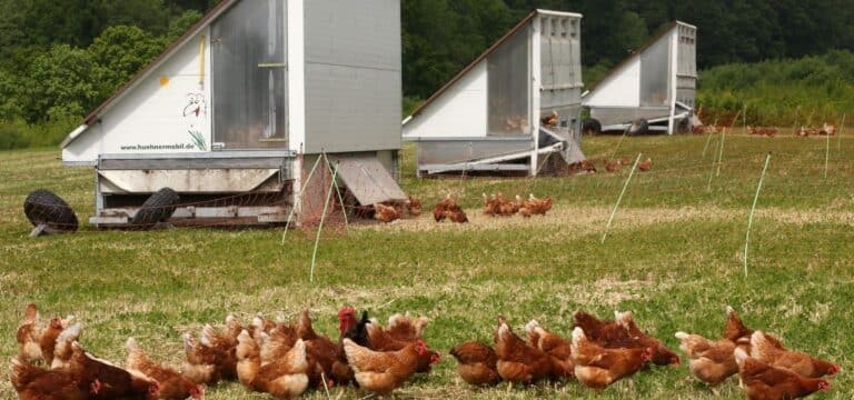 Agrarbetriebe erschließen alternative Einkommensquellen