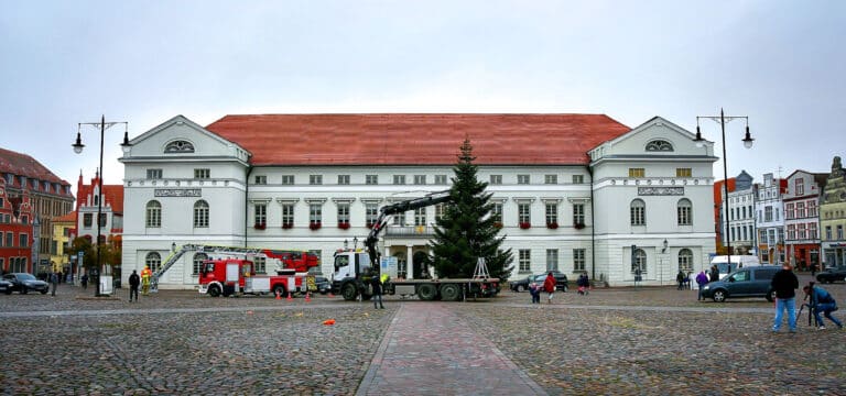 Galerie: Der Weihnachtsbaum 2024 ist auf dem Markplatz aufgestellt