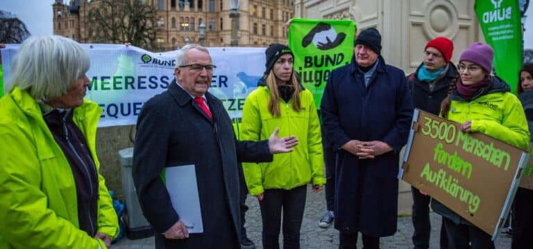 Naturschützer fordern konsequenten Schutz von Meeressäugern