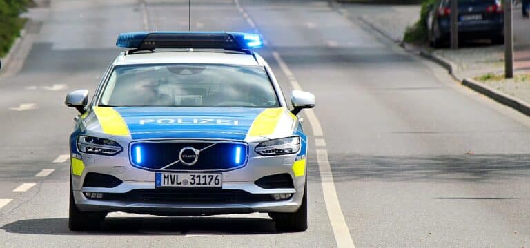 Wahlplakate in Wismar mit Nazi-Symbolen beschmiert