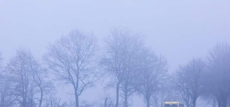 Trübes Wetter in Mecklenburg-Vorpommern